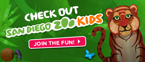 San Diego Zoo Kids 